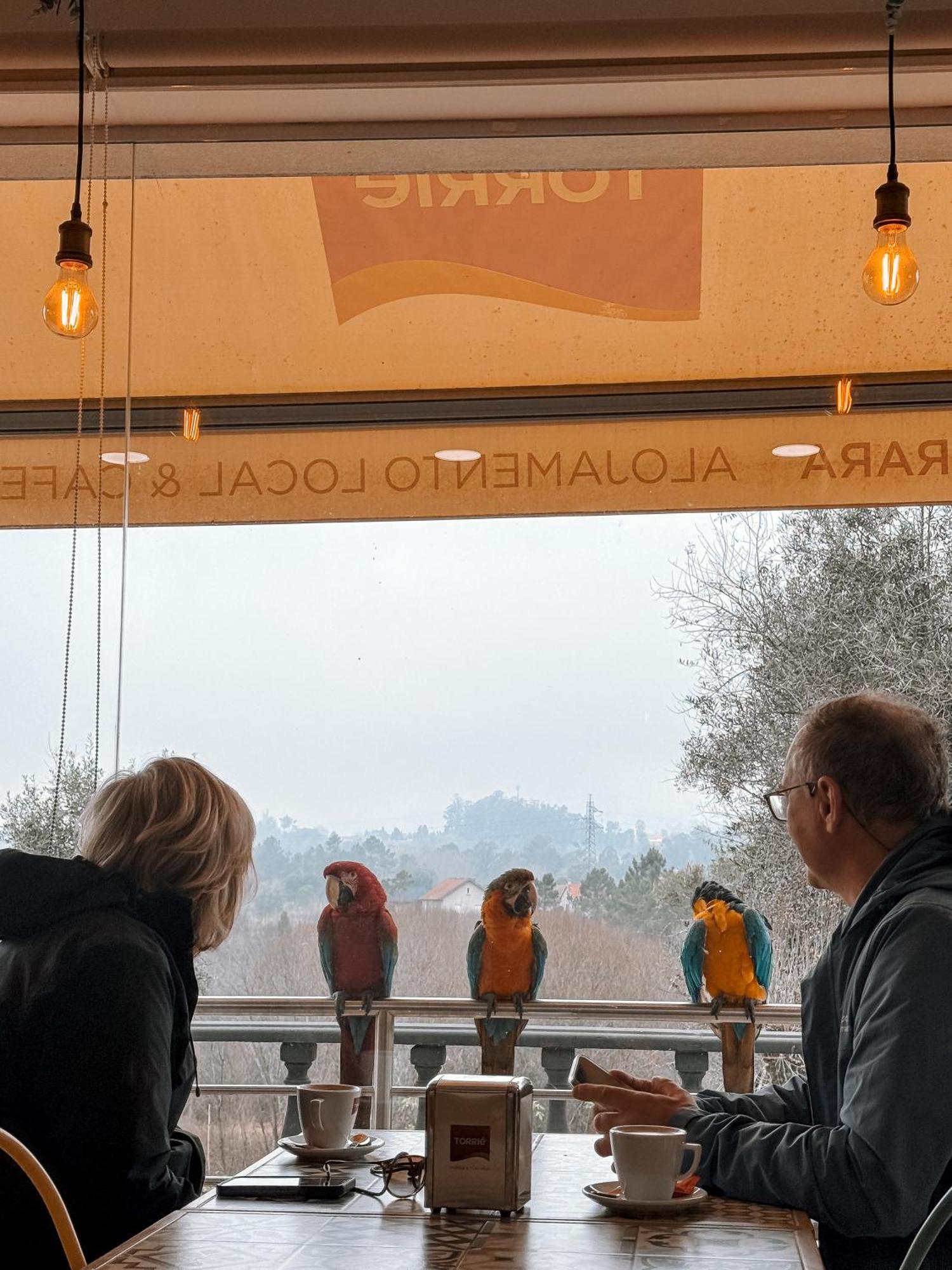 Ninho D'Arara Bed and Breakfast Τοντέλα Εξωτερικό φωτογραφία