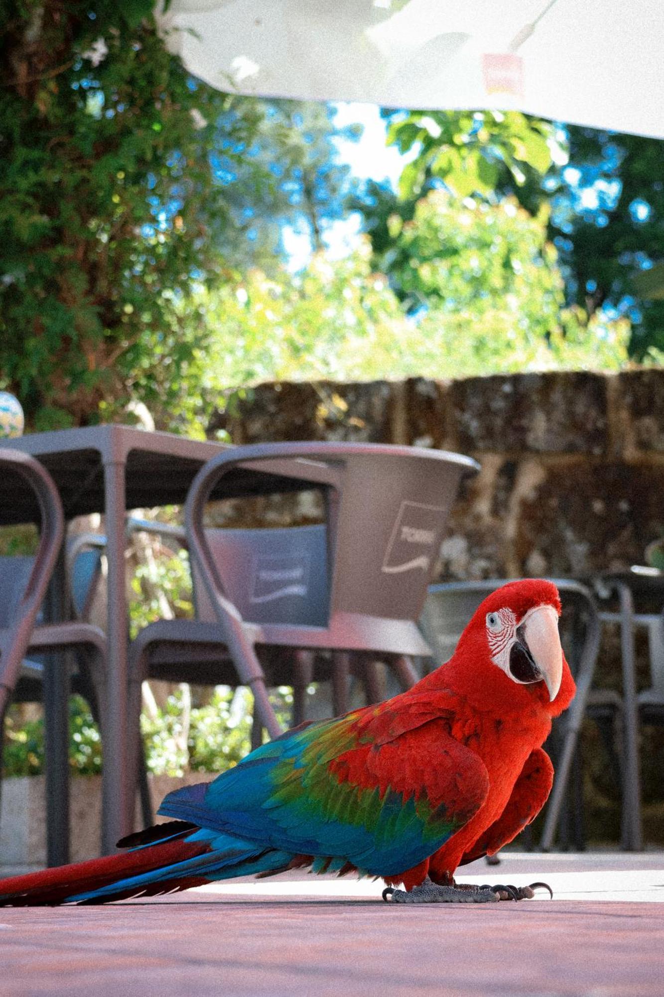 Ninho D'Arara Bed and Breakfast Τοντέλα Εξωτερικό φωτογραφία